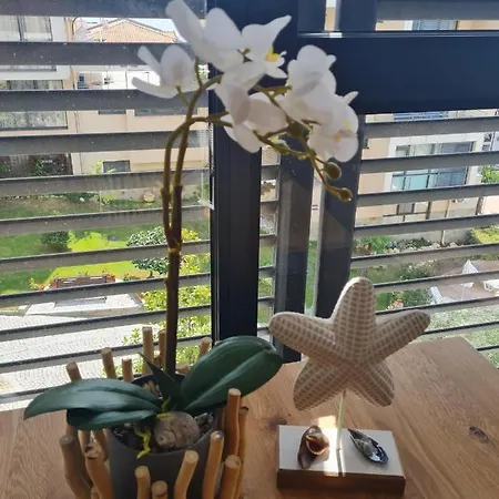 Dolce 2, Apartment Sveti Vlas