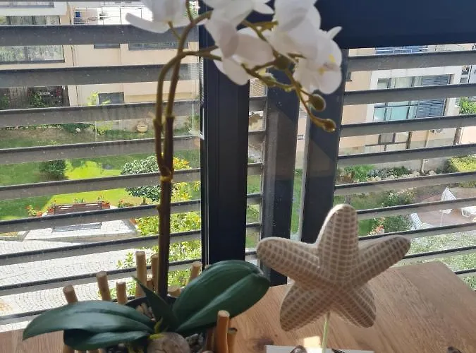 Dolce 2, 公寓 圣弗拉斯