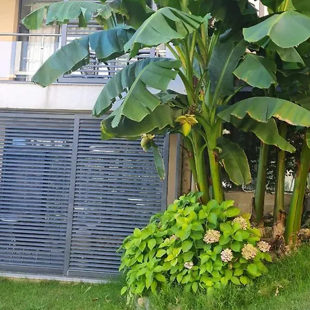 Dolce 2, Apartment *