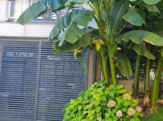 Dolce 2, Lejlighed *